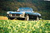 Ferrari 250 GT Cabriolet