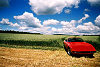 Ferrari 365 GTS/4 Daytona Spider