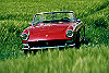 Ferrari 275 GTS