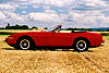 Ferrari Daytona 365 GTS/4 Spider