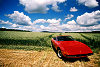 Ferrari Daytona 365 GTS/4 Spider