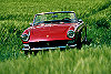 Ferrari 275 GTS