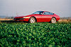 Ferrari 365 GTB/4 Daytona